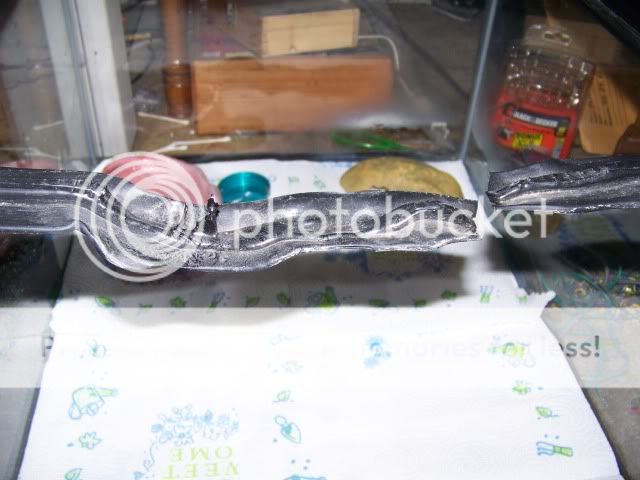100_2499.jpg