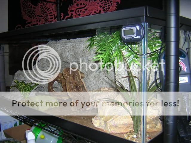 DSCN1528.jpg
