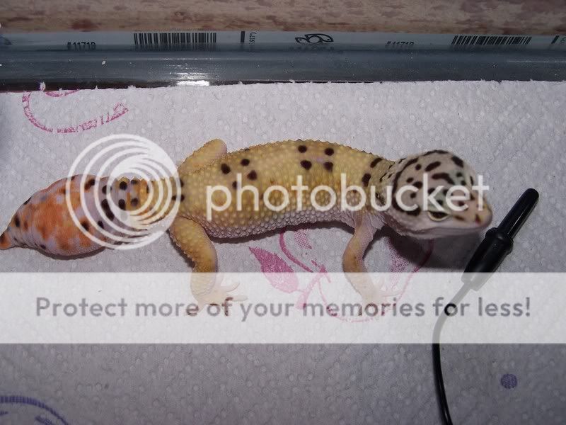 100_7764.jpg