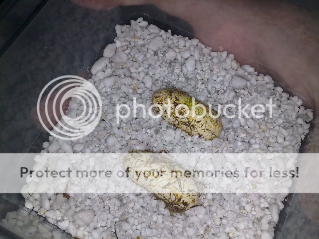26082010142.jpg