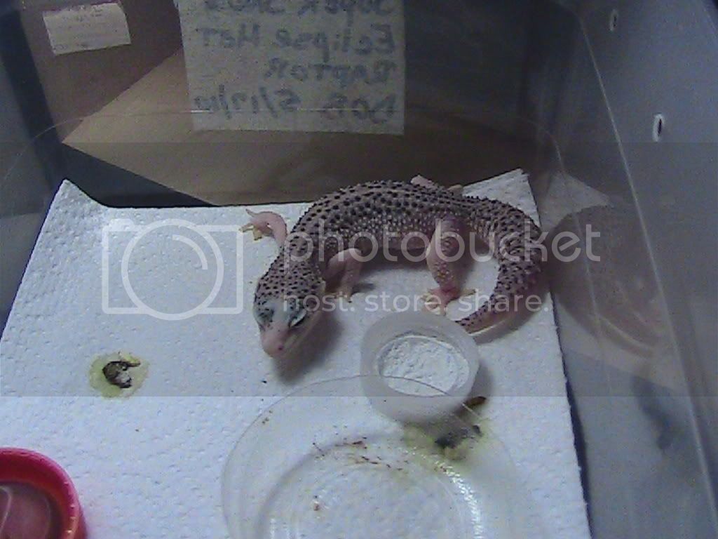 Picture016.jpg