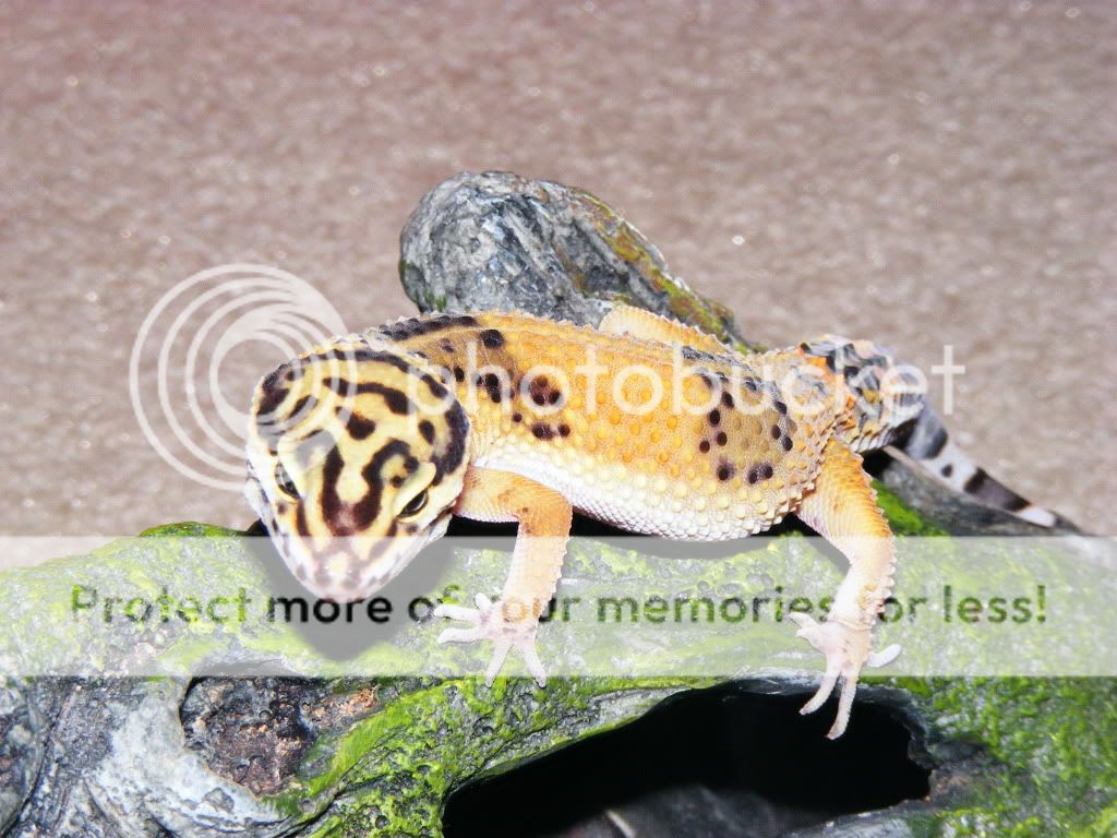 DSCF3190.jpg