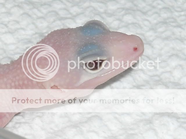 DSCN2678.jpg