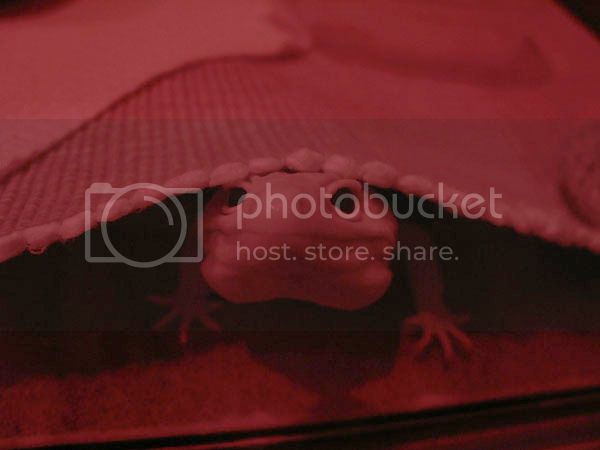 Hardee0331_R01.jpg