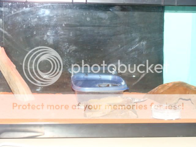 001-14.jpg