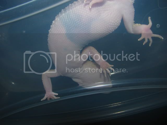 10-13-09005.jpg