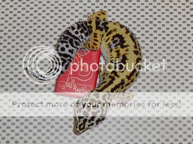 DSCN0759.jpg