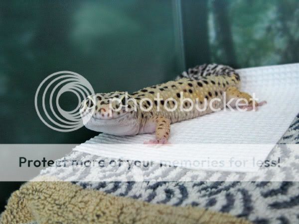 Bubu0413_01.jpg