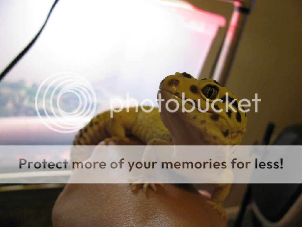 4-17-09734.jpg