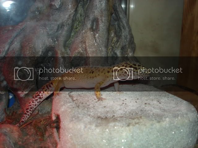 DSC01422.jpg