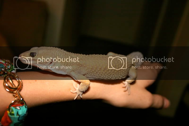 IMG_8958.jpg