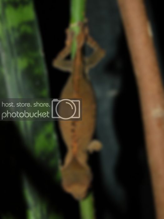 photo1-23.jpg