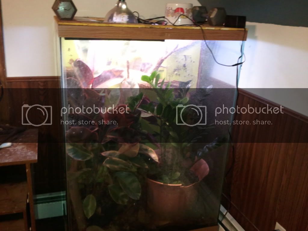 2011-03-14221723.jpg