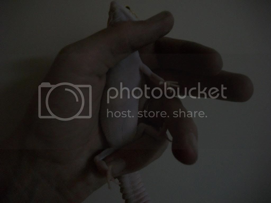 100_2529.jpg