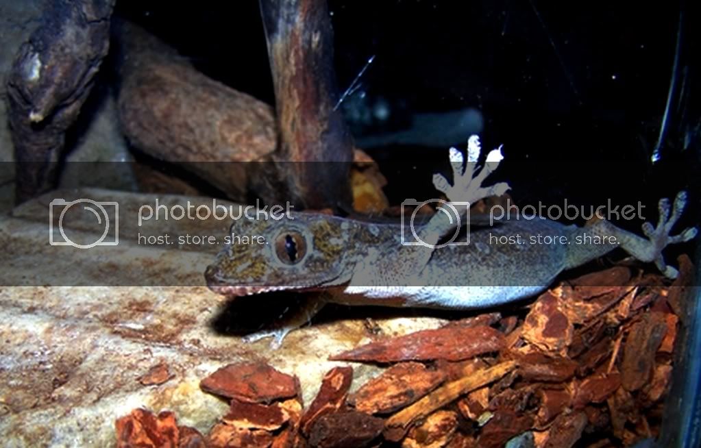 photocontest.jpg