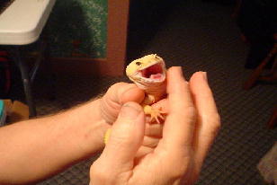 geckoconansayahhhhhsmaller.jpg