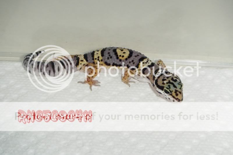 DSCF1209.jpg