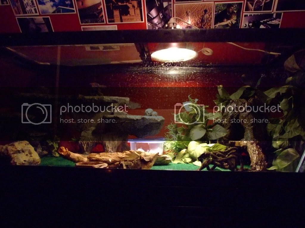 NewTank060.jpg