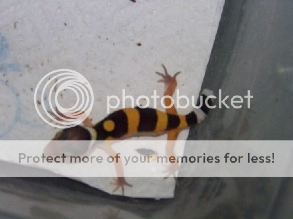 100_7413.jpg