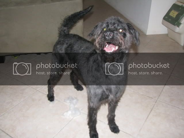 Happy9thBdayTyson045.jpg