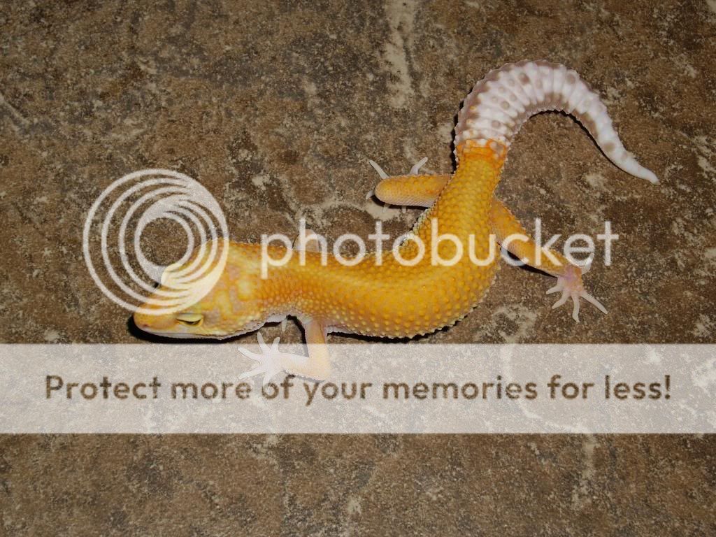 IMGP6412.jpg