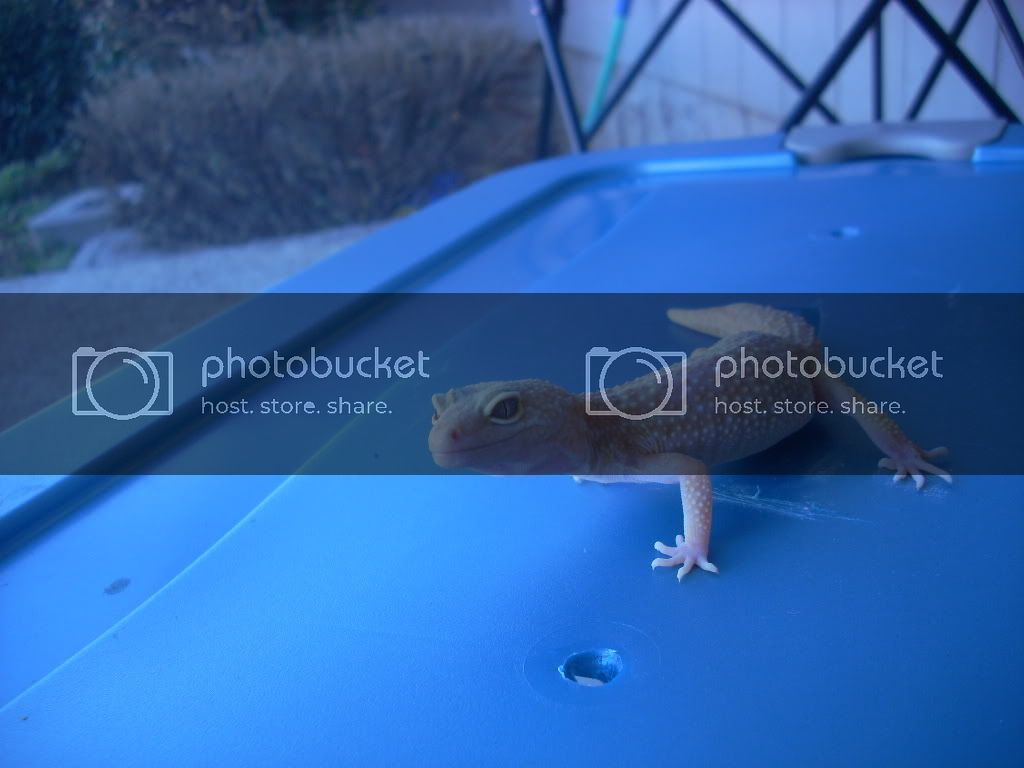 DSCN0241.jpg