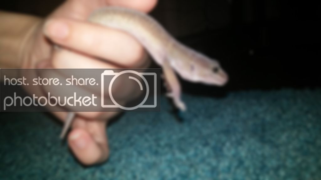 20160701_115303_zpsokbpvxw7.jpg