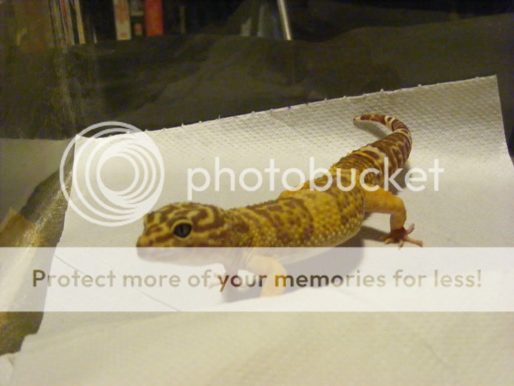 7-7-10034.jpg