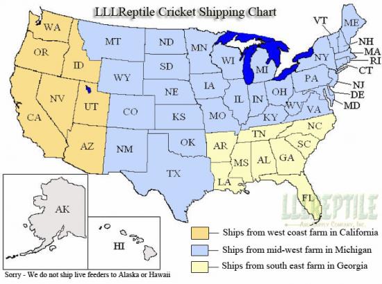 6284