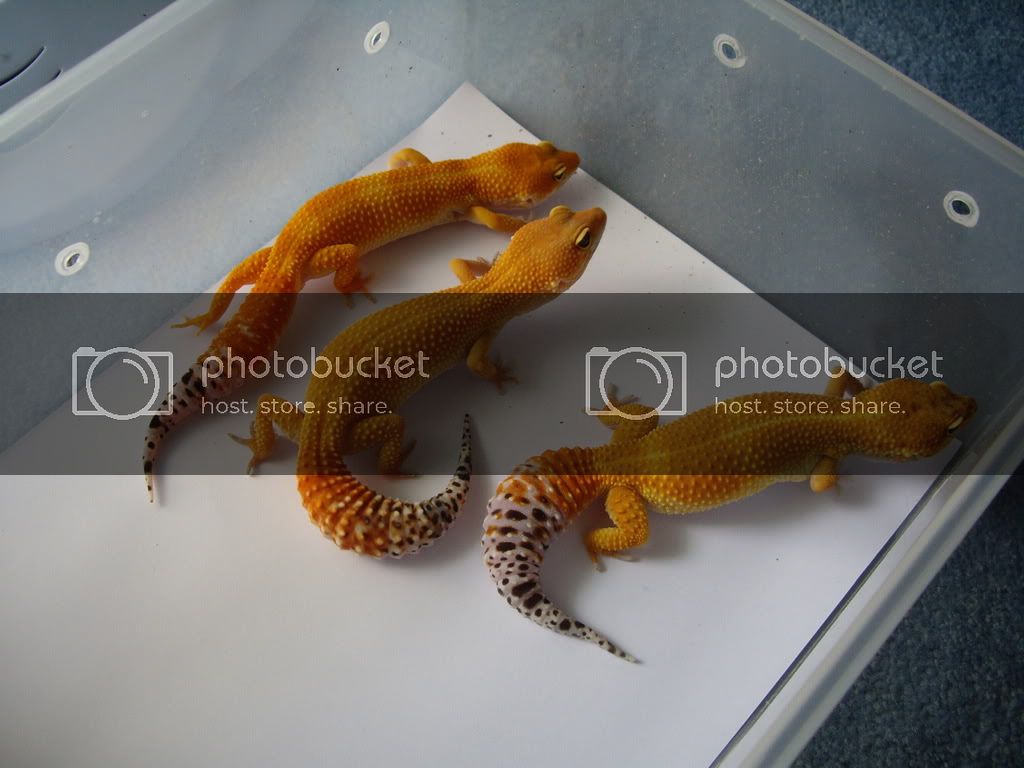 IMGP2650.jpg