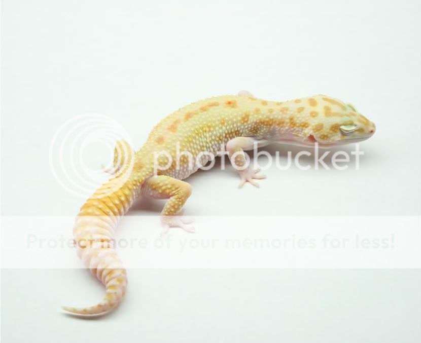 photoshoot6-1-09025.jpg