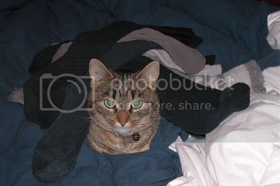 sockblanket2.jpg