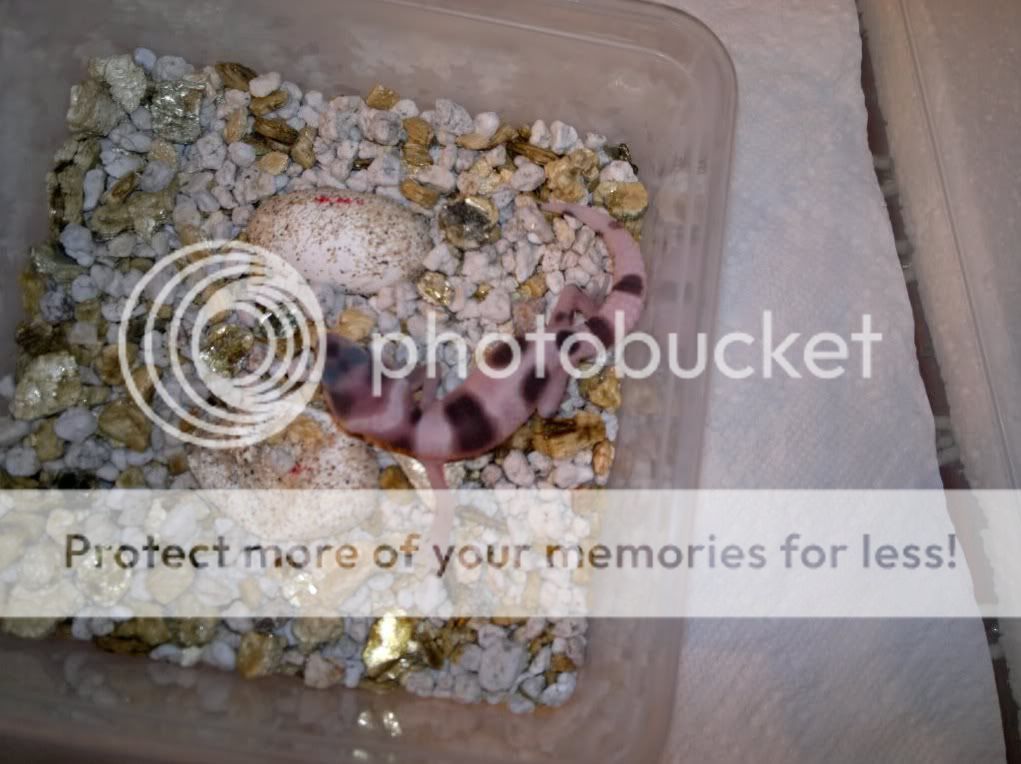 124-09-2011.jpg