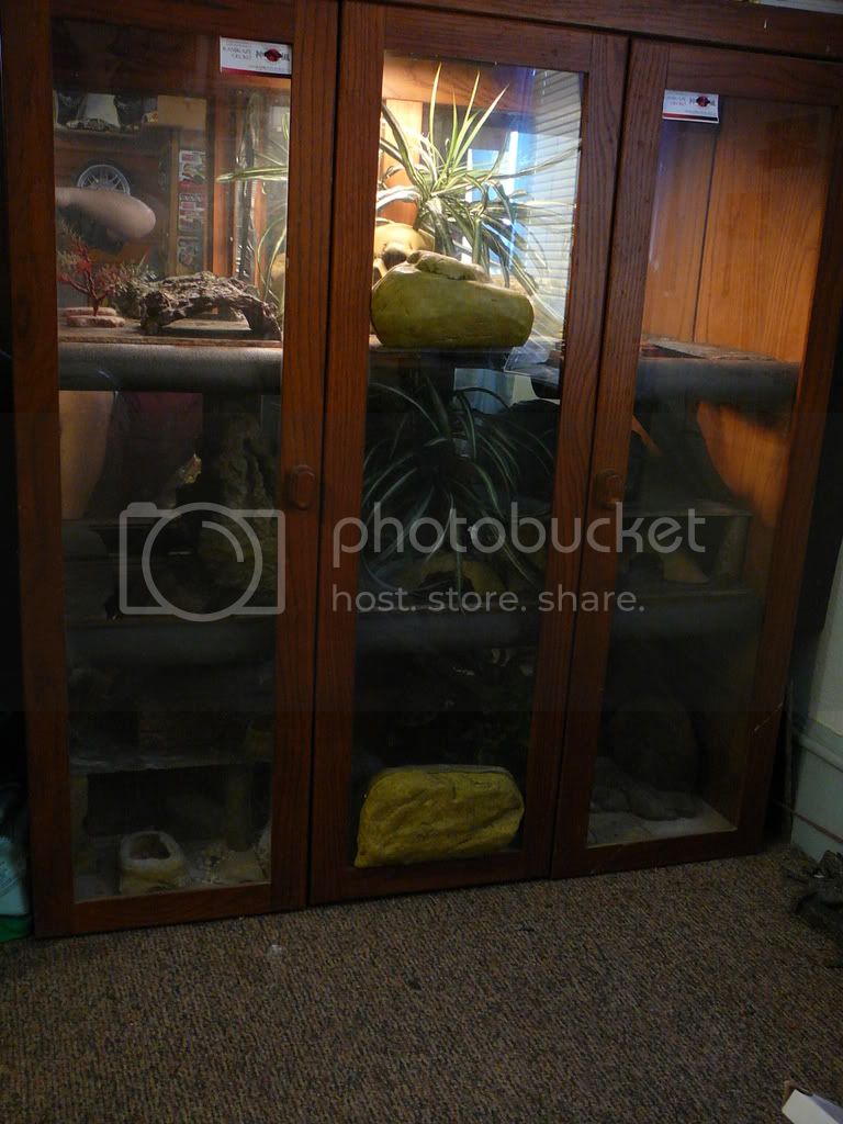 geckocondo003.jpg