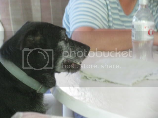 IMG_2000.jpg