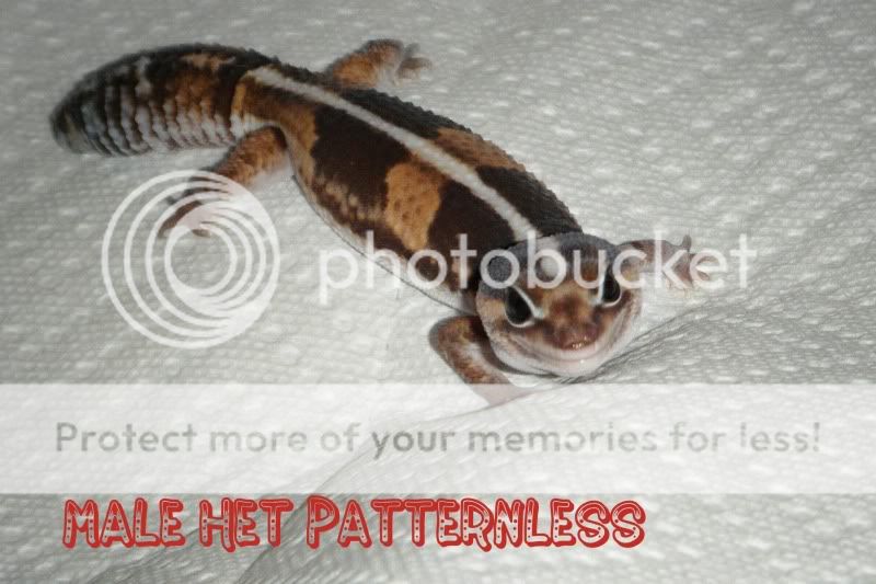 DSCF1123.jpg