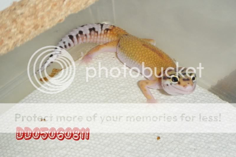 DSCF0159.jpg