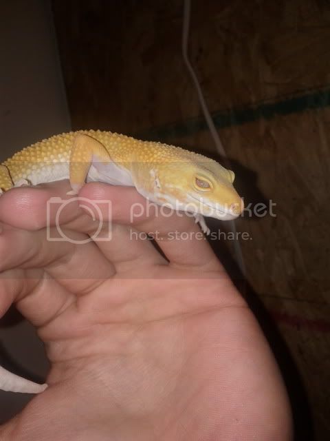IMG_20111125_164241.jpg
