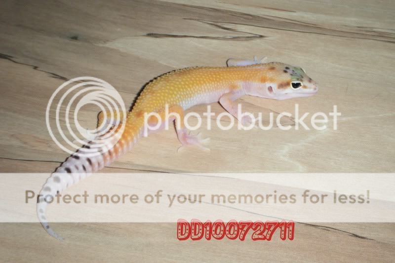 DSCF0843.jpg