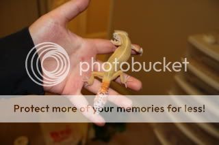 IMG_1211.jpg
