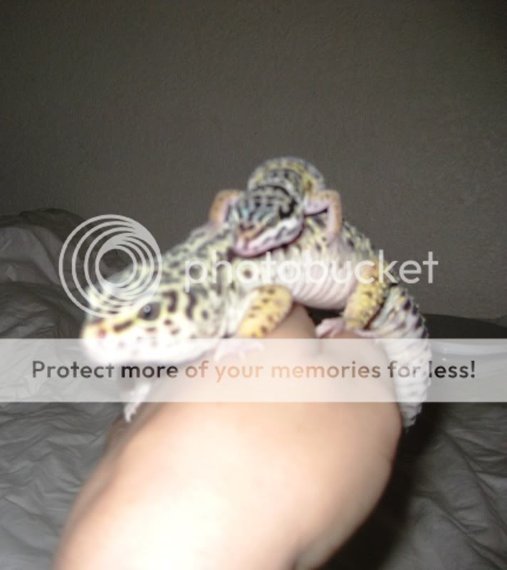 kidsandpets09117.jpg