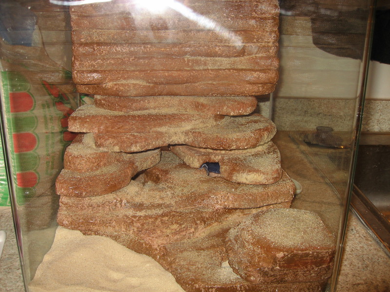 IMG-0205.jpg