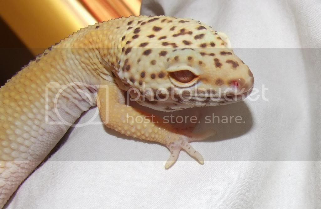 jeffery.jpg