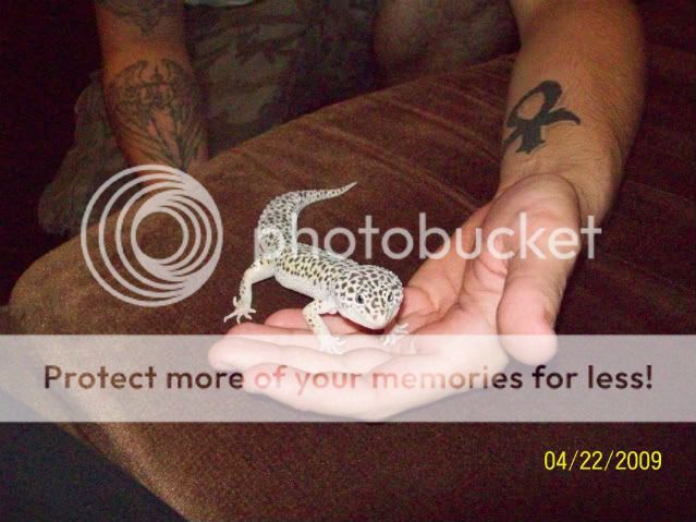 100_1731.jpg