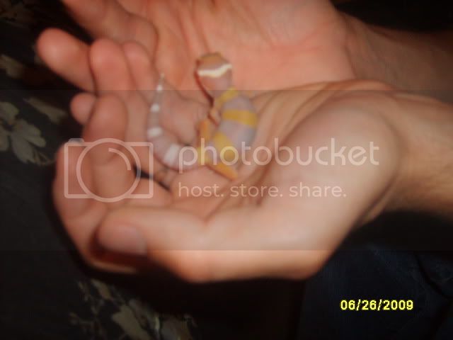Picture700.jpg