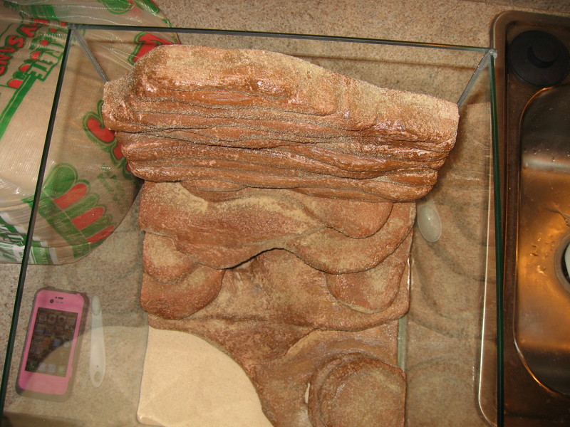 IMG-0204.jpg