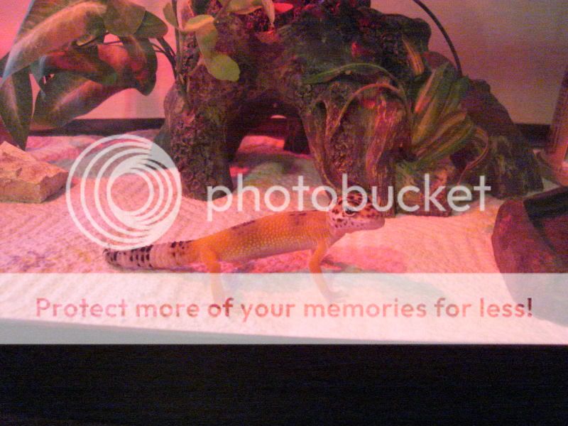 DSC01852.jpg