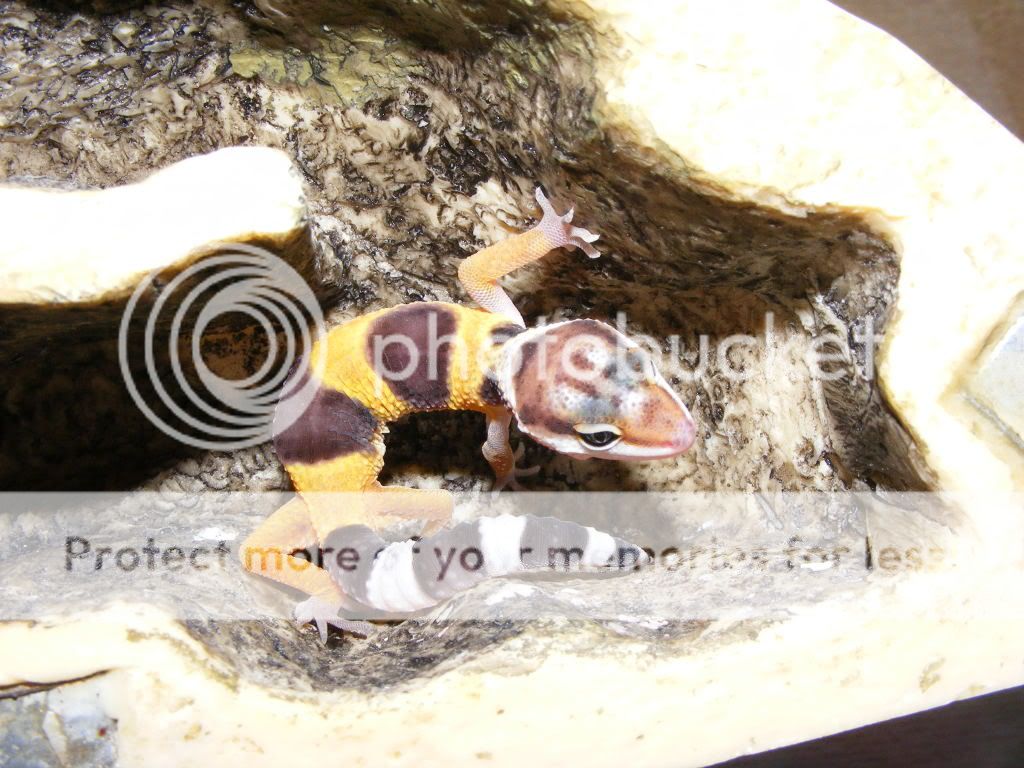 DSCF1756.jpg