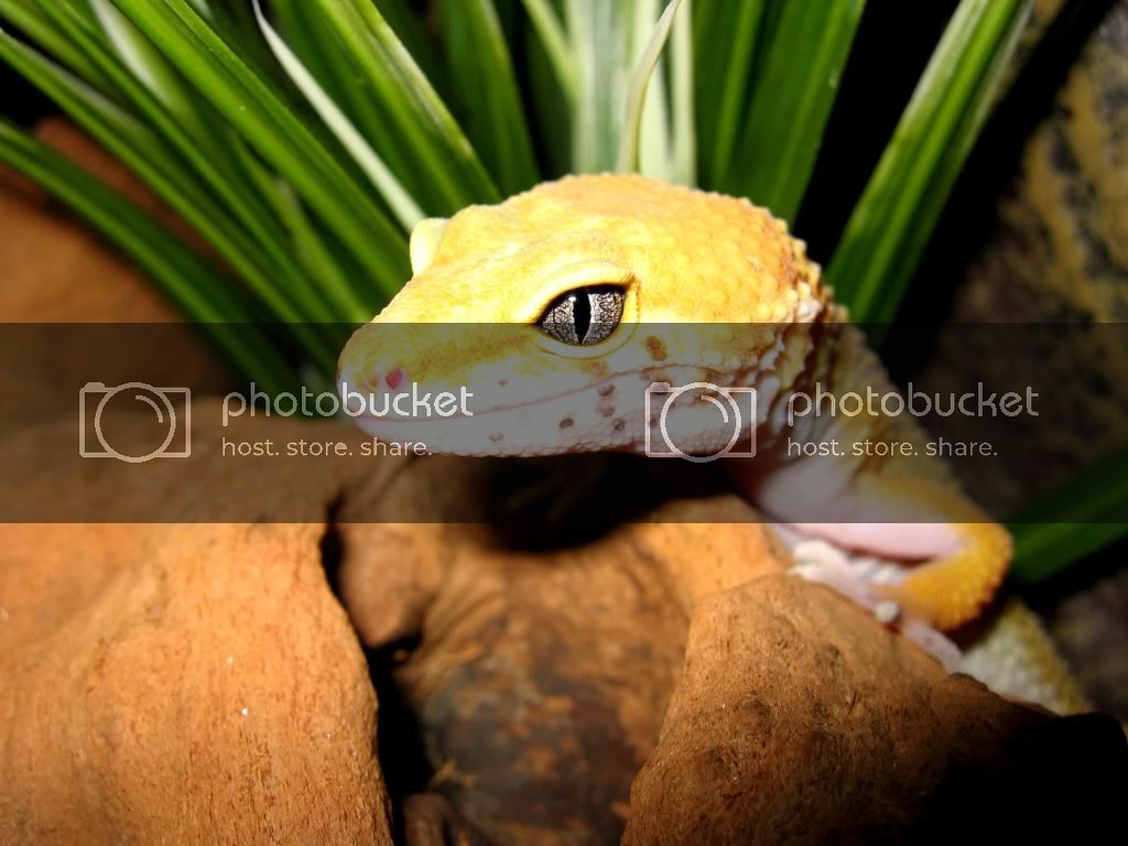 IMG_2846-Copy.jpg