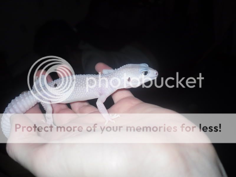 SDC11149.jpg